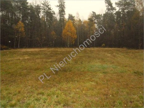 Działka rolna na sprzedaż Rososz 13 000m2 Foto 2