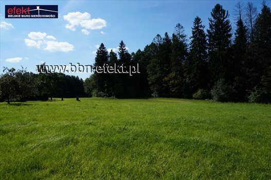 Działka budowlana na sprzedaż Świętoszówka 4 707m2 Foto 11