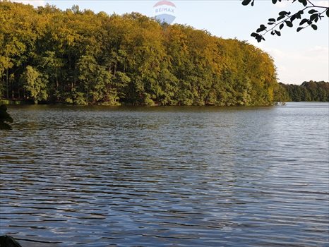 Działka siedliskowa na sprzedaż Sobącz 48 970m2 Foto 6