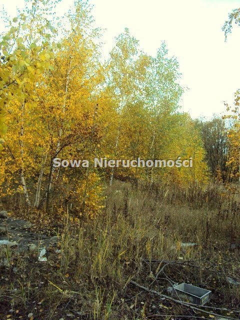 Działka budowlana na sprzedaż Wałbrzych, Piaskowa Góra 35 000m2 Foto 2