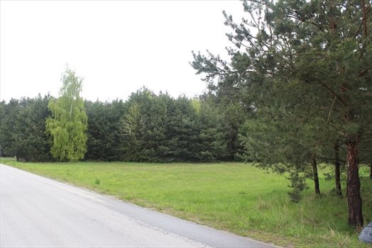 Działka budowlana na sprzedaż Starowola 2 082m2 Foto 2