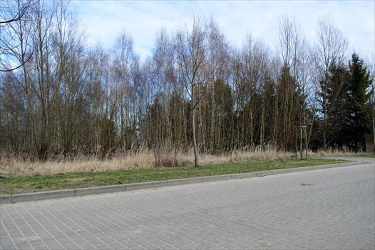 Działka budowlana na sprzedaż Drawsko Pomorskie, Jeziorna 4 302m2 Foto 3