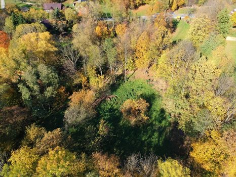 Działka budowlana na sprzedaż Przenosza 2 800m2 Foto 5