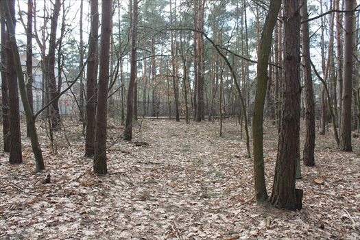 Działka budowlana na sprzedaż Warszawa, Wawer, Izbicka/Koprowa 2 274m2 Foto 1