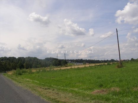 Działka inwestycyjna na sprzedaż Libertów 14 200m2 Foto 5