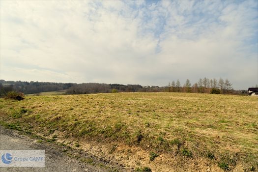 Działka inna na sprzedaż Barwałd Górny 8 066m2 Foto 5