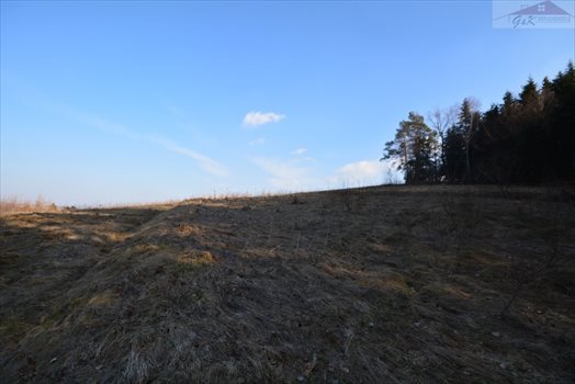 Działka rekreacyjna na sprzedaż Wara 1 876m2 Foto 2