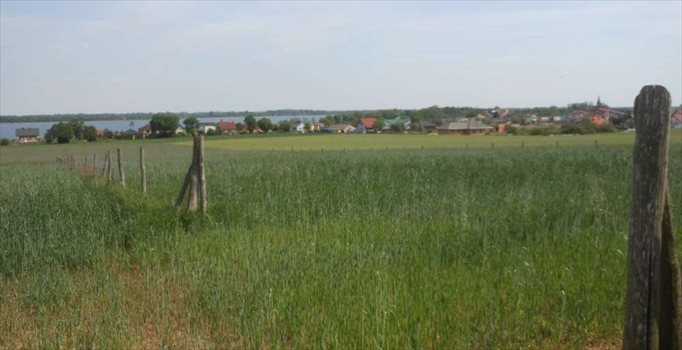 Działka budowlana na sprzedaż Powidz 3 700m2 Foto 4