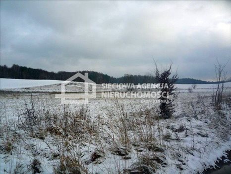 Działka budowlana na sprzedaż Nowa Wieś Przywidzka 11 600m2 Foto 5