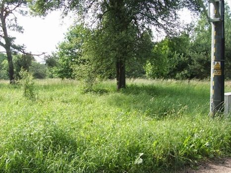 Działka rekreacyjna na sprzedaż Puste Łąki 1 000m2 Foto 7