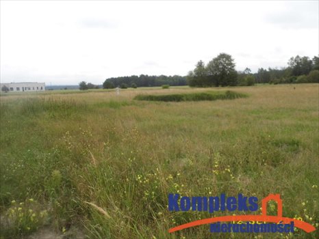 Działka budowlana na sprzedaż Grzepnica 1 553m2 Foto 3