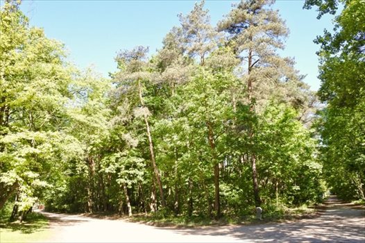Działka budowlana na sprzedaż Sokolniki-Las, Jagiellońska 982m2 Foto 3