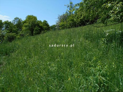 Działka budowlana na sprzedaż Kraków, Zwierzyniec, Przegorzały, Księcia Józefa 2 300m2 Foto 5