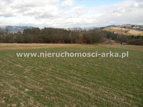 Działka inna na sprzedaż Limanowa 450m2 Foto 4