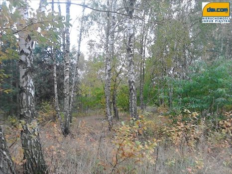 Działka budowlana na sprzedaż Rosanów 1 920m2 Foto 3