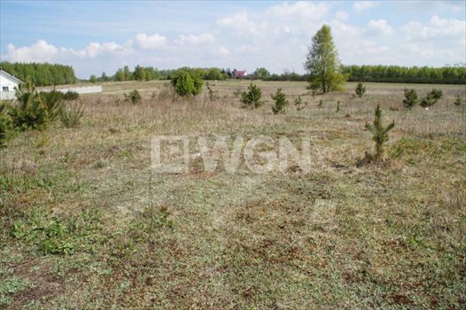Działka inwestycyjna na sprzedaż Objazda, Objazda, Objazda 1 000m2 Foto 7