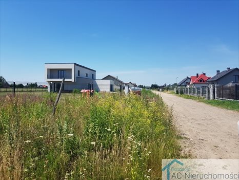 Działka budowlana na sprzedaż Rosanów 3 000m2 Foto 2