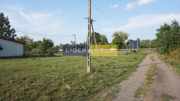 Lokal użytkowy na sprzedaż Kazuń Nowy 401m2 Foto 10