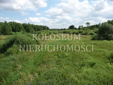 Działka rekreacyjna na sprzedaż Ciechocin 15 000m2 Foto 3
