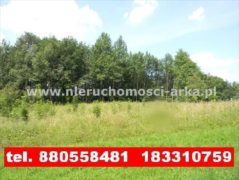 Działka budowlana na sprzedaż Dobra 1 700m2 Foto 1