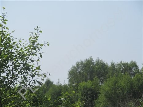 Działka rolna na sprzedaż Gójszcz 1 050m2 Foto 5