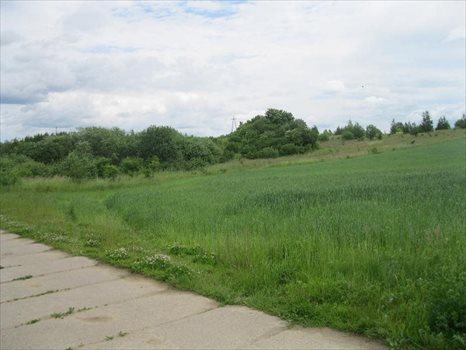 Działka przemysłowo-handlowa na sprzedaż Jankowo Gdańskie, Przy Obwodnicy Trójmiejskiej 30 800m2 Foto 4