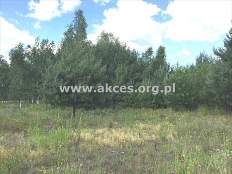 Działka budowlana na sprzedaż Ustanów 2 855m2 Foto 5