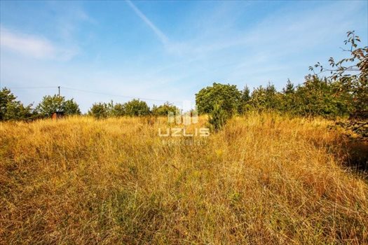 Działka inna na sprzedaż Szpęgawsk, Jezioro, Las, Przystanek autobusowy, Ulica osiedlo, Działkowa 2 800m2 Foto 11