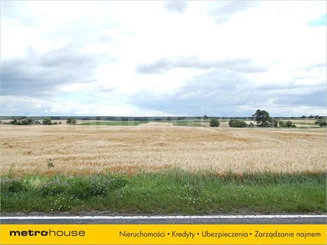 Działka inna na sprzedaż Depułtycze Królewskie, Chełm 32 926m2 Foto 6