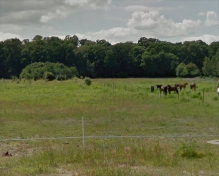 Działka budowlana na sprzedaż Warszawa, Wilanów, Wilanów, Wiedeńska 6 454m2 Foto 1