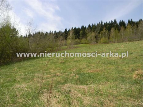 Działka rolna na sprzedaż Stara Wieś 12 900m2 Foto 4