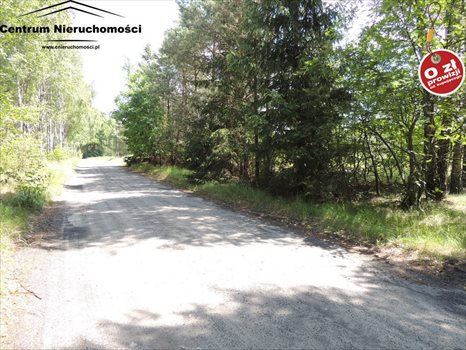 Działka siedliskowa na sprzedaż Krzyż 24 900m2 Foto 5