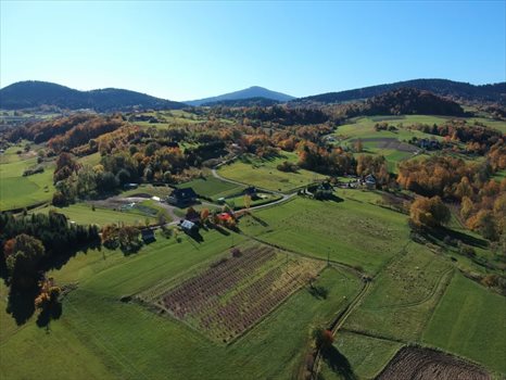 Działka budowlana na sprzedaż Przenosza 2 800m2 Foto 10