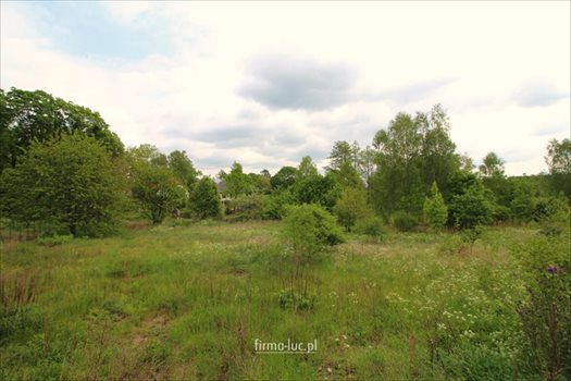 Działka budowlana na sprzedaż Santoczno 5 400m2 Foto 5