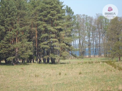 Działka rekreacyjna na sprzedaż Ząbie, Ząbie 2 981m2 Foto 6