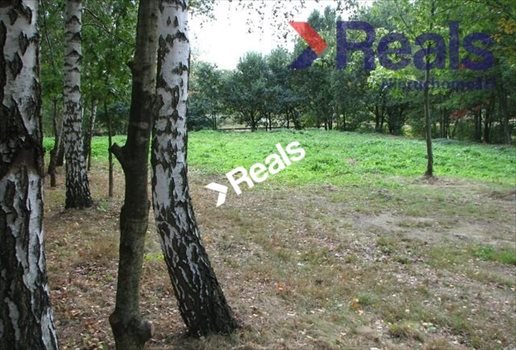 Działka budowlana na sprzedaż Milanówek 1 300m2 Foto 4