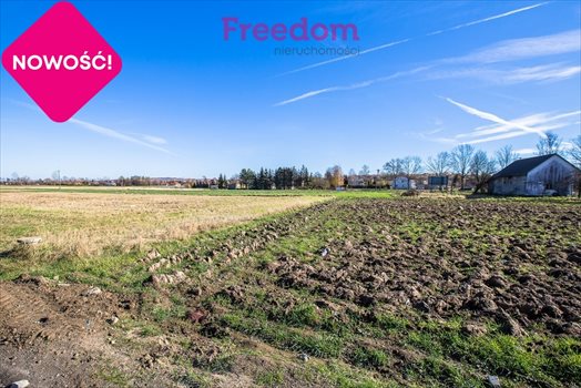Działka budowlana na sprzedaż Rzeszów, Budziwój, Budziwojska 4 000m2 Foto 5