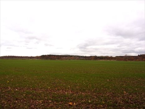 Lokal użytkowy na sprzedaż Golnice 200 000m2 Foto 2