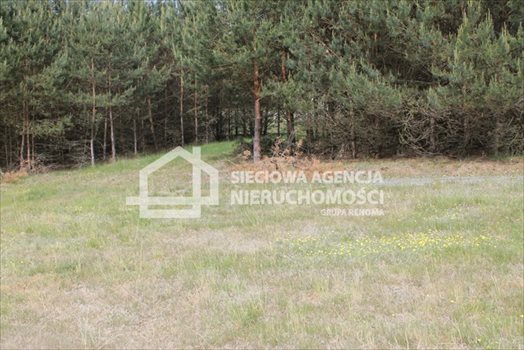 Działka budowlana na sprzedaż Lubowidz 1 003m2 Foto 4