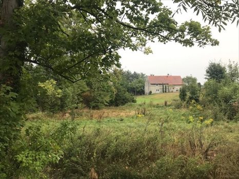 Działka budowlana na sprzedaż Henryków Lubański 1 511m2 Foto 5
