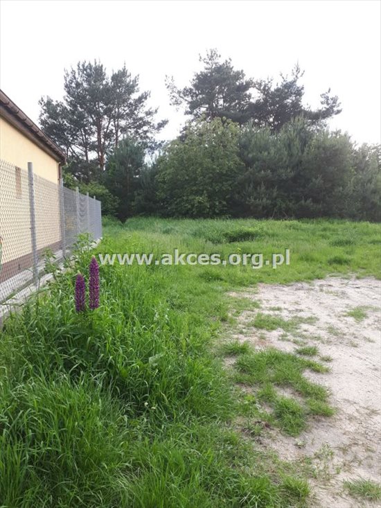 Działka budowlana na sprzedaż Jesówka 1 400m2 Foto 2