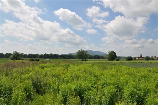 Działka budowlana na sprzedaż Rogów Sobócki, Szkolna 1 731m2 Foto 9