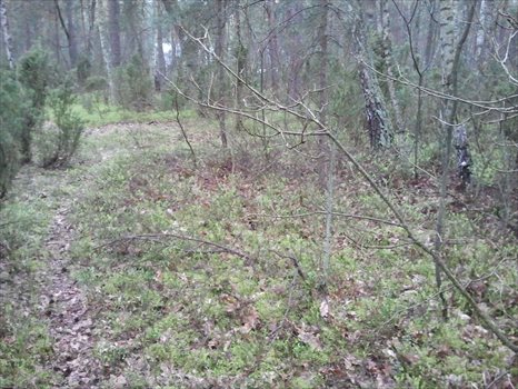Działka budowlana na sprzedaż Ruda 6 100m2 Foto 5
