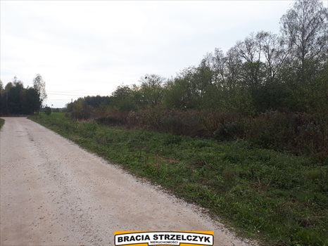 Działka budowlana na sprzedaż Wola Krakowiańska 1 425m2 Foto 3