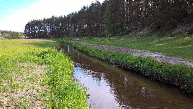 Działka budowlana na sprzedaż Bory Tucholskie, Nad Rzeką, Duże Krówno 47 4 973m2 Foto 2