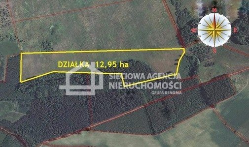 Działka leśna na sprzedaż Strzeczona 129 577m2 Foto 2