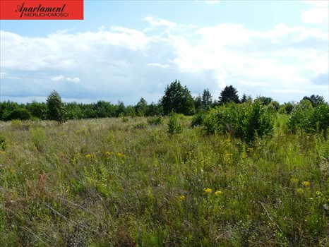 Działka budowlana na sprzedaż Żołędowo 735m2 Foto 1