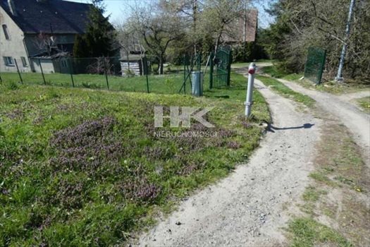Działka inna na sprzedaż Działoszyn 2 100m2 Foto 9