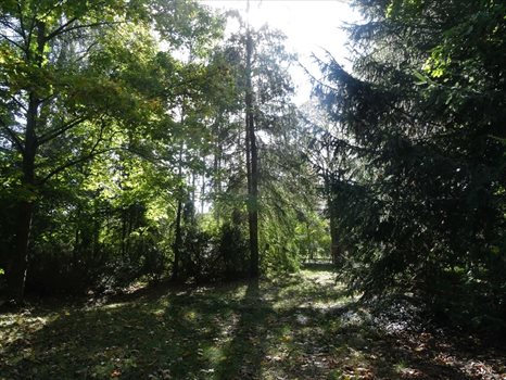 Działka inna na sprzedaż Osęka 7 600m2 Foto 3