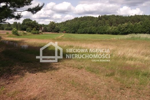 Działka rolna na sprzedaż Sepiot 43 700m2 Foto 4